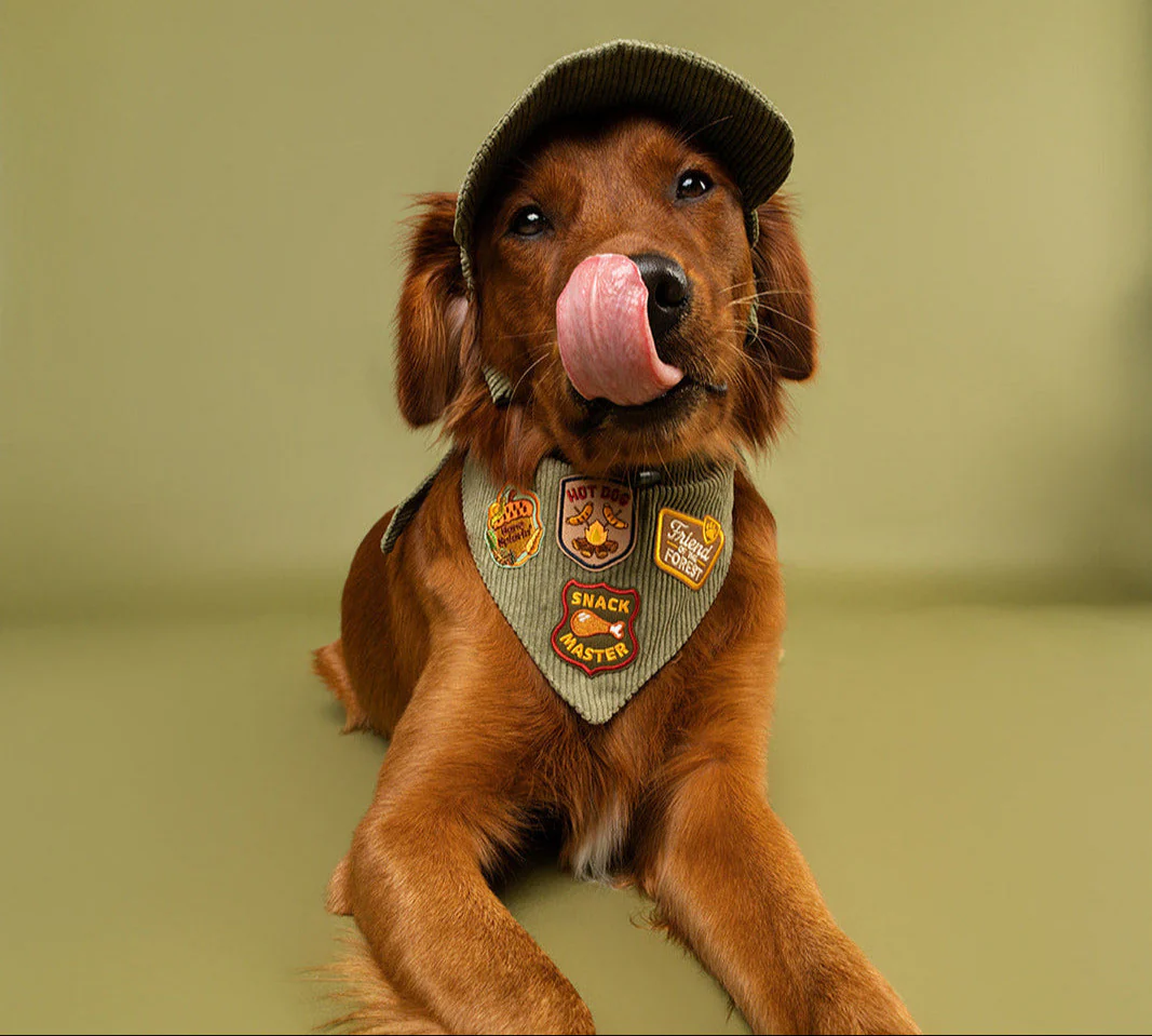 Corduroy Adventure Dog Bandana | Adjustable & Customizable - Image 6