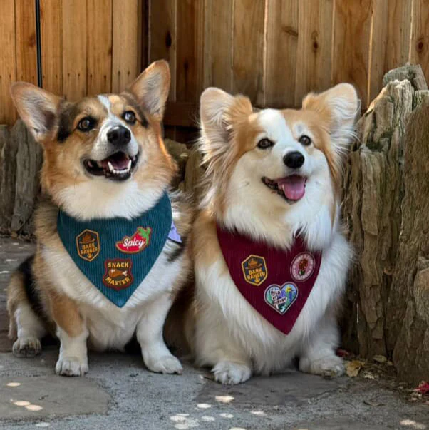 Corduroy Adventure Dog Bandana | Adjustable & Customizable - Image 8