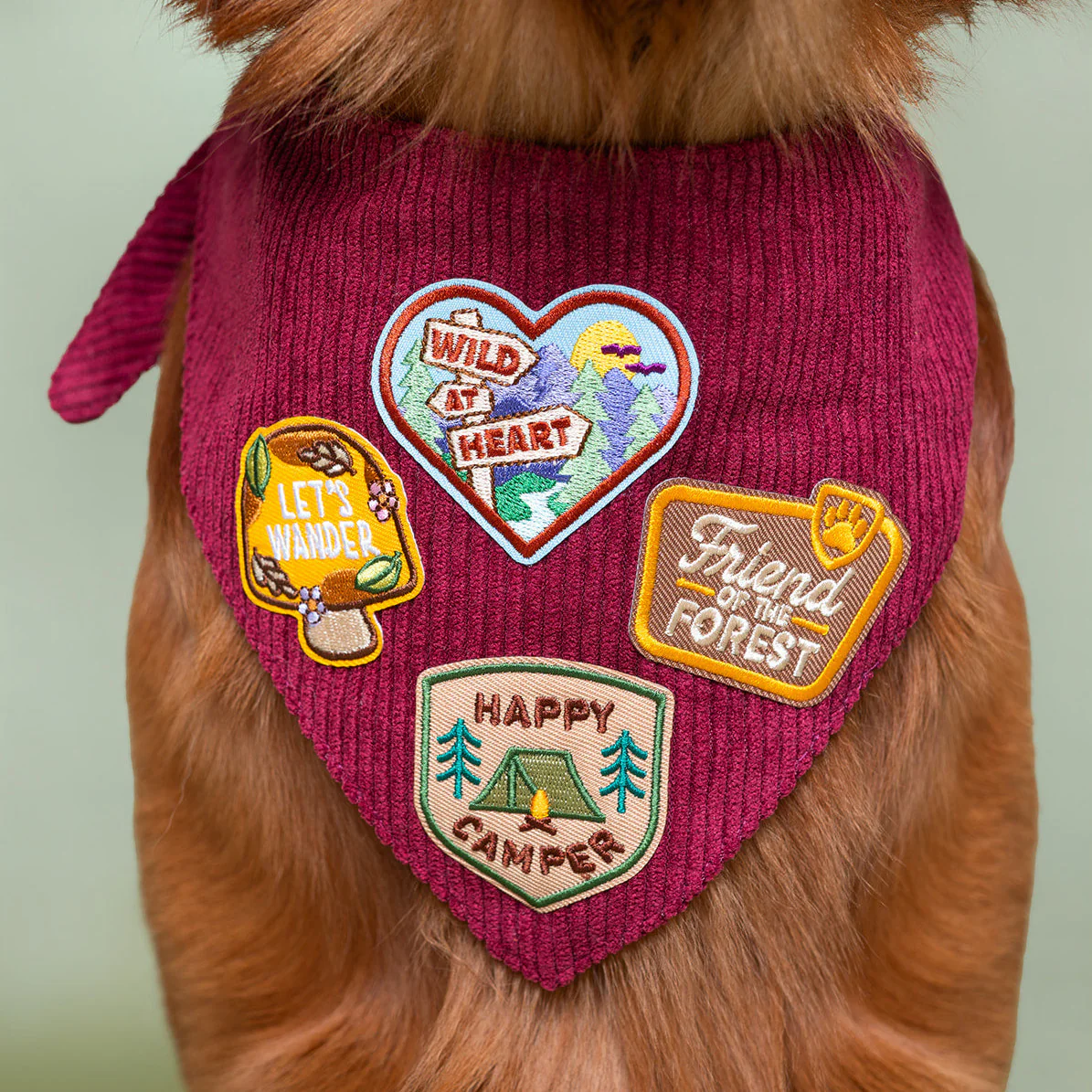 Corduroy Adventure Dog Bandana | Adjustable & Customizable - Image 9
