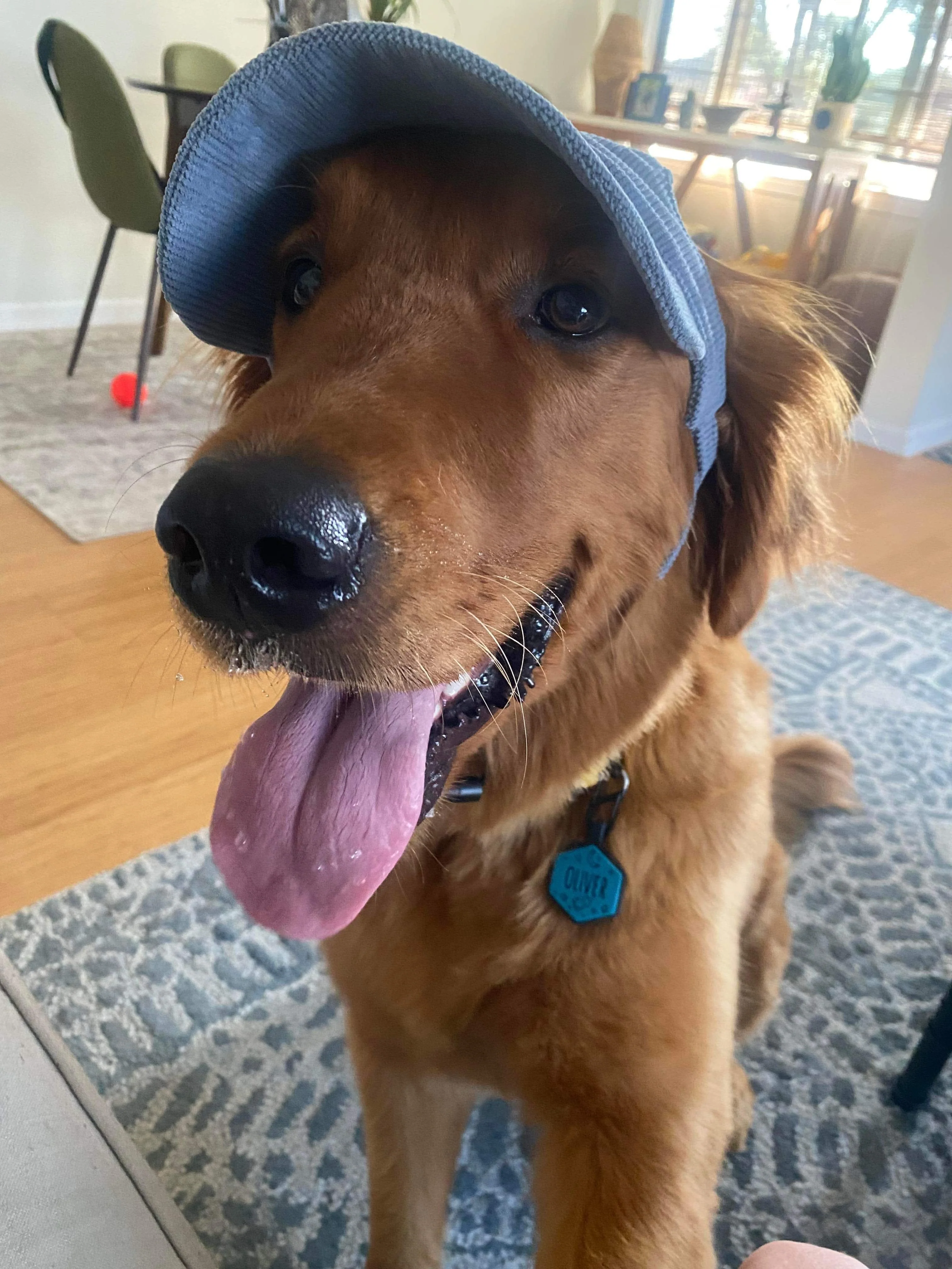 Corduroy Dog Baseball Hat | Comfortable & Customizable - Image 8