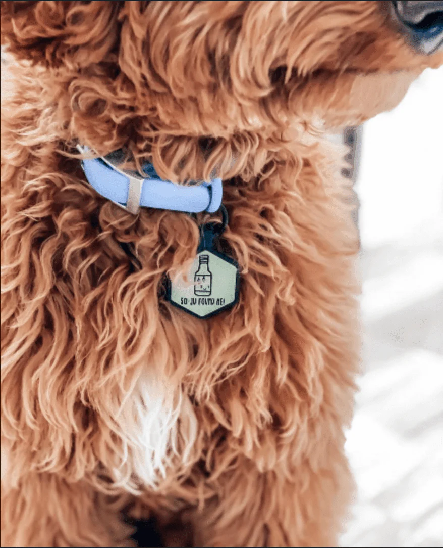 Custom Artwork Pet ID Tag | Glow In The Dark - Image 5