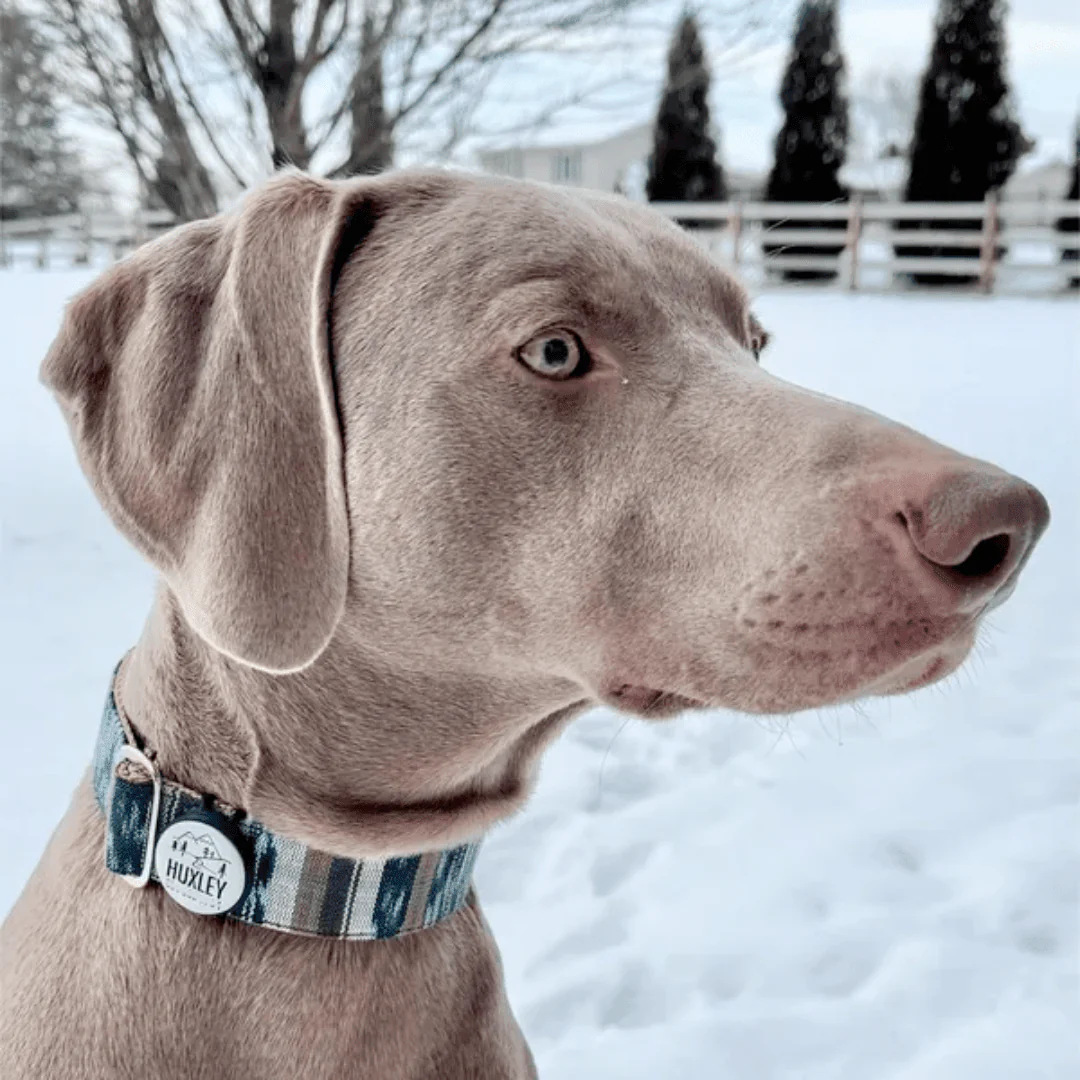 Glow In The Dark AirTag Holder Slide-On Silicone Pet ID Tag| Design Your Own - Image 10