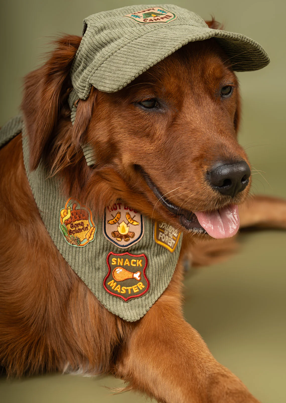 Corduroy Dog Baseball Hat | Comfortable & Customizable - Image 6