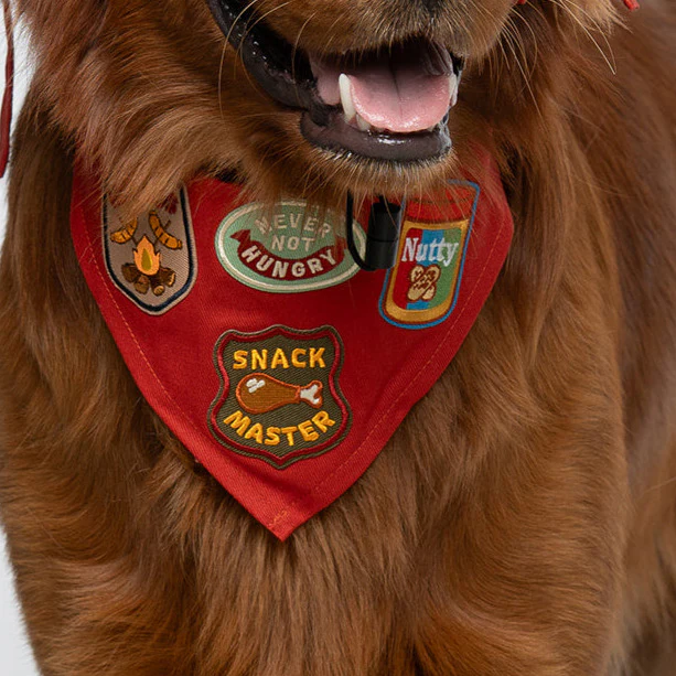 Cotton Adventure Dog Bandana | Adjustable & Customizable - Image 7