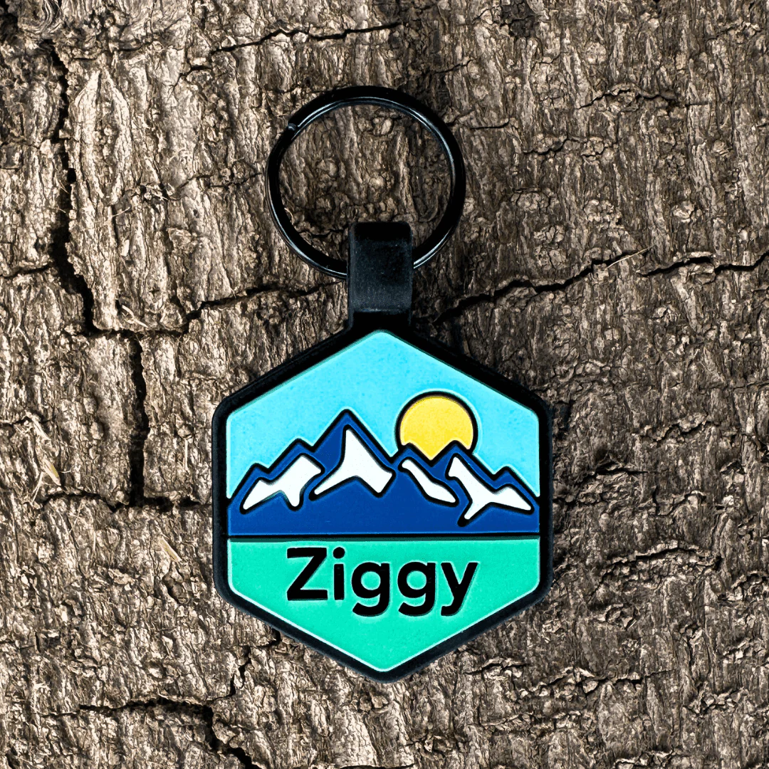 QR Code Pup's Peak Silicone Dog ID Tag - Blue Ridge - Image 3