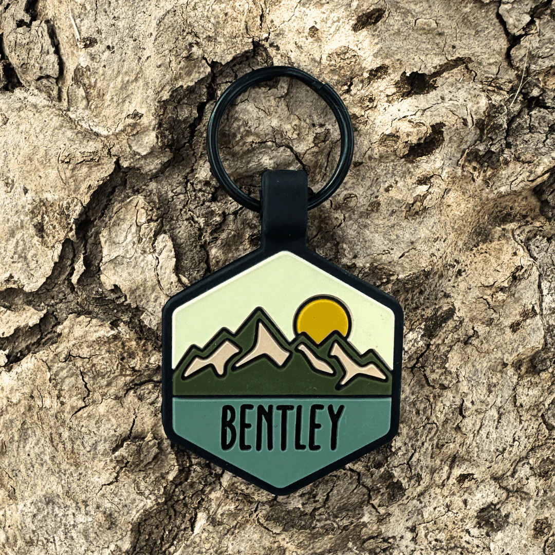 QR Code Pup's Peak Silicone Dog ID Tag - Sand Canyon - Image 3
