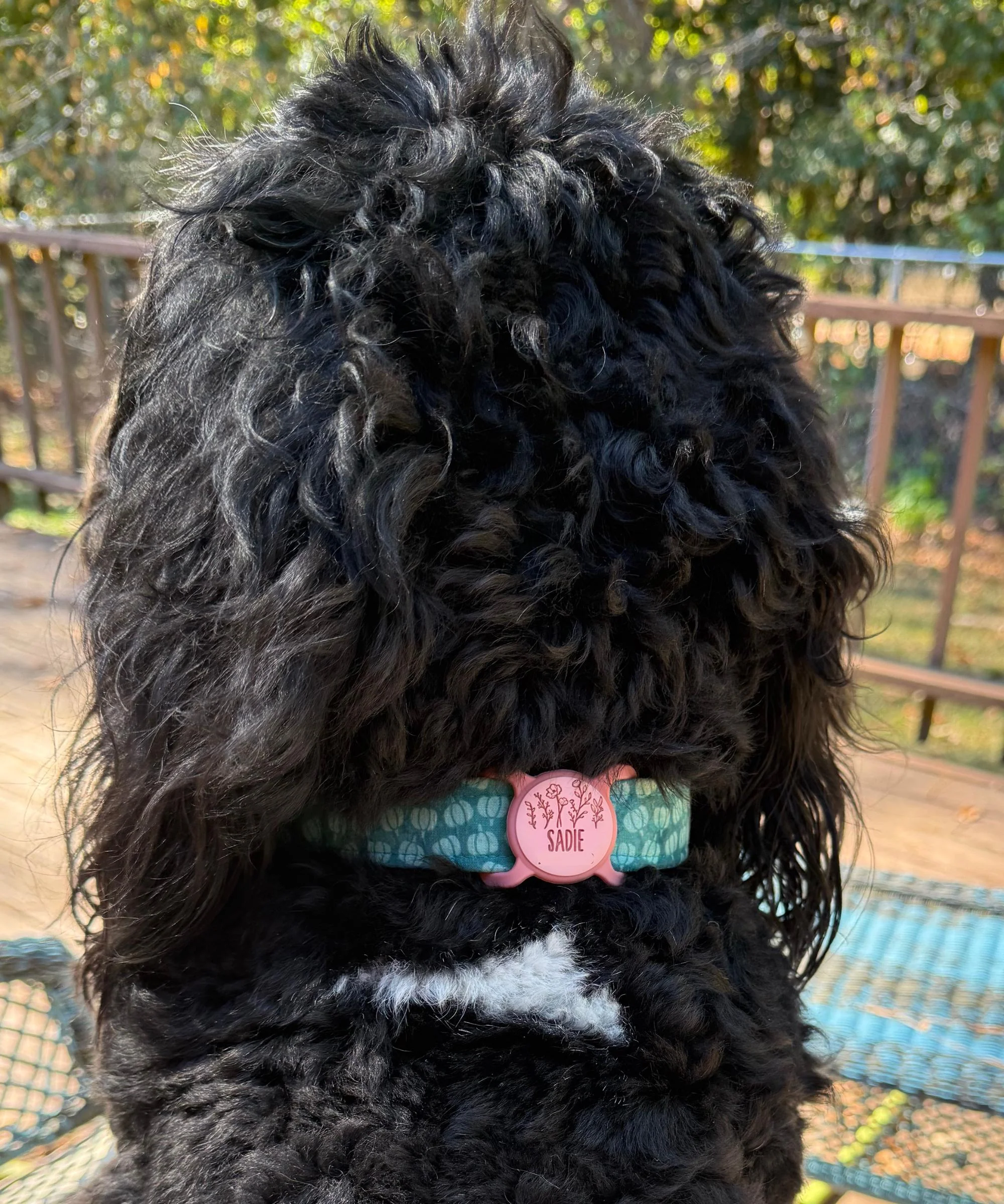 Slim Slide-On Silicone Pet ID Tag | Classic Name - Image 5