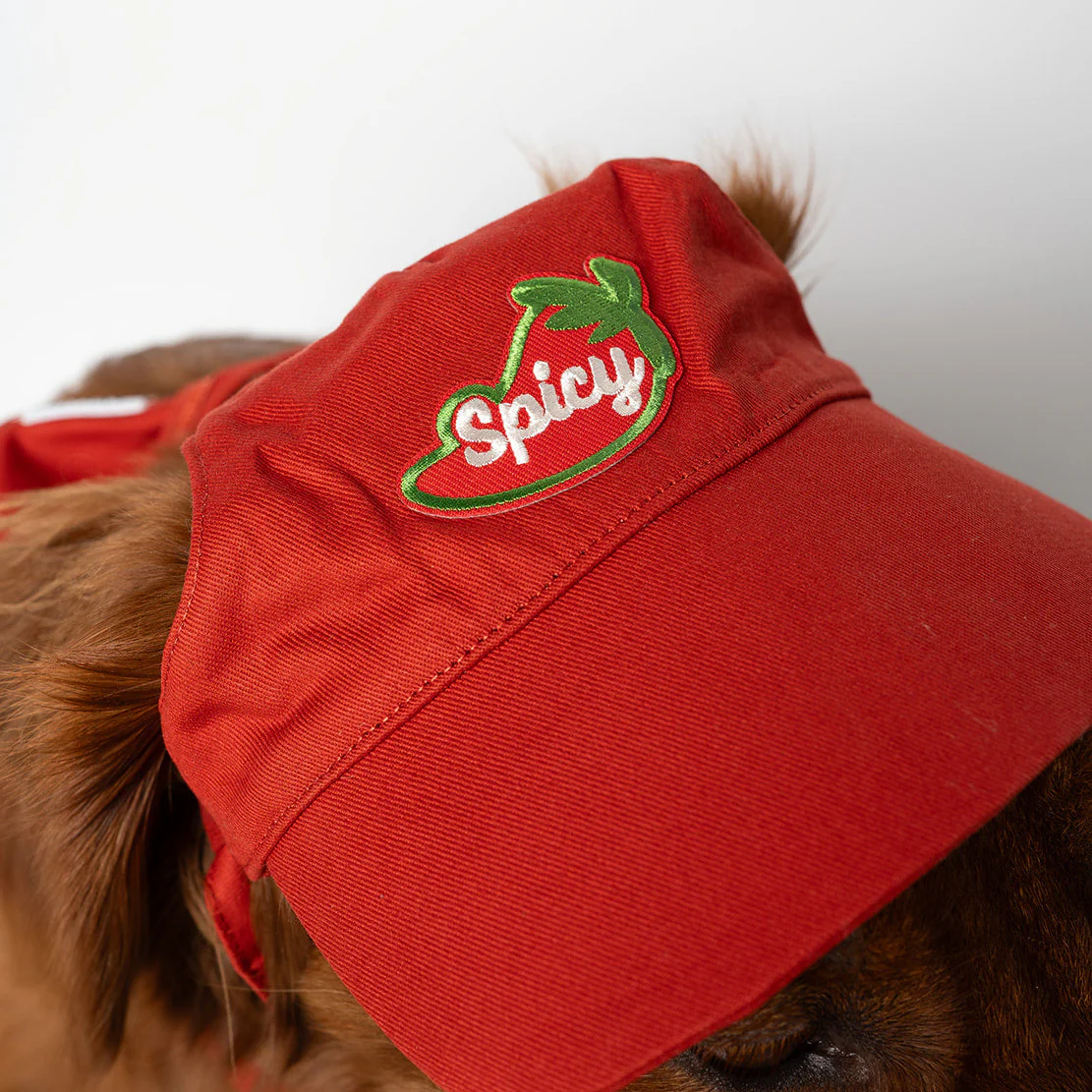 Cotton Adventure Dog Hat | Comfortable & Customizable - Image 7