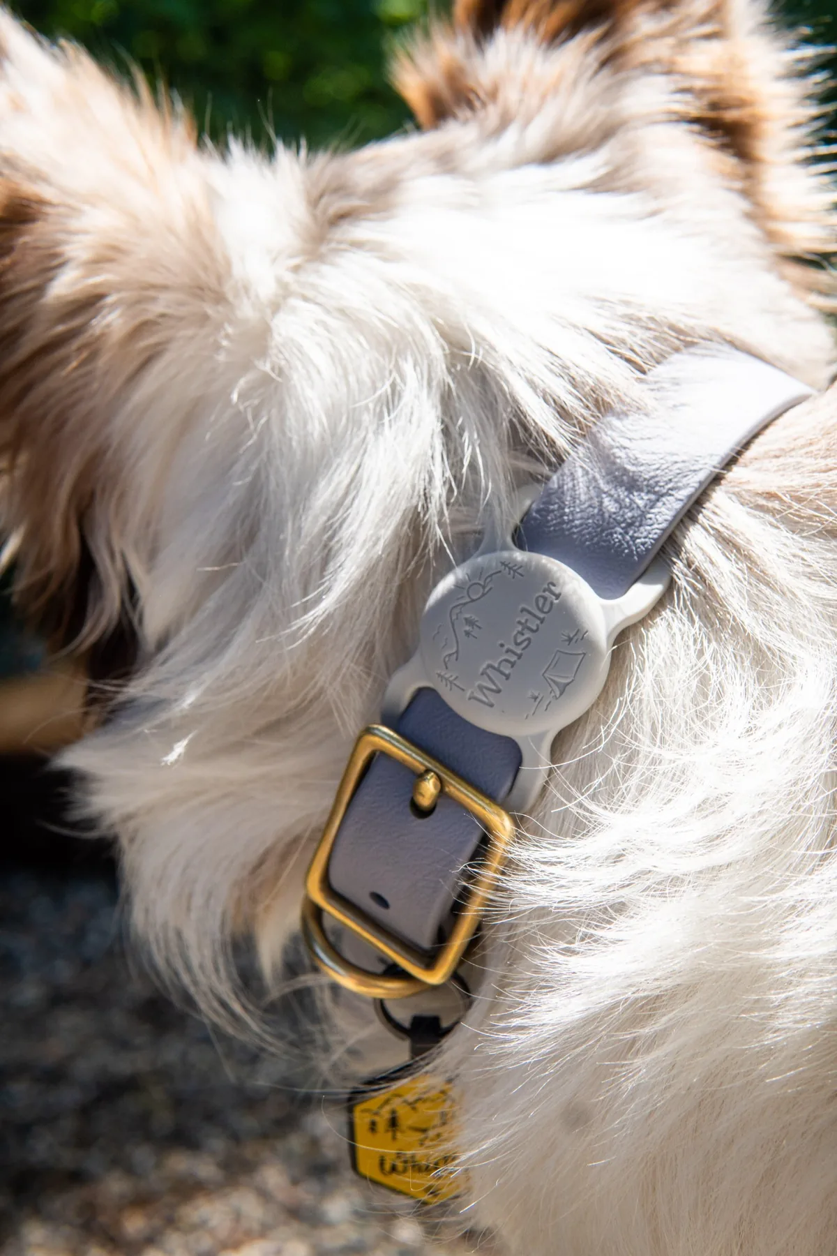 Stay Wild AirTag Holder - Image 4