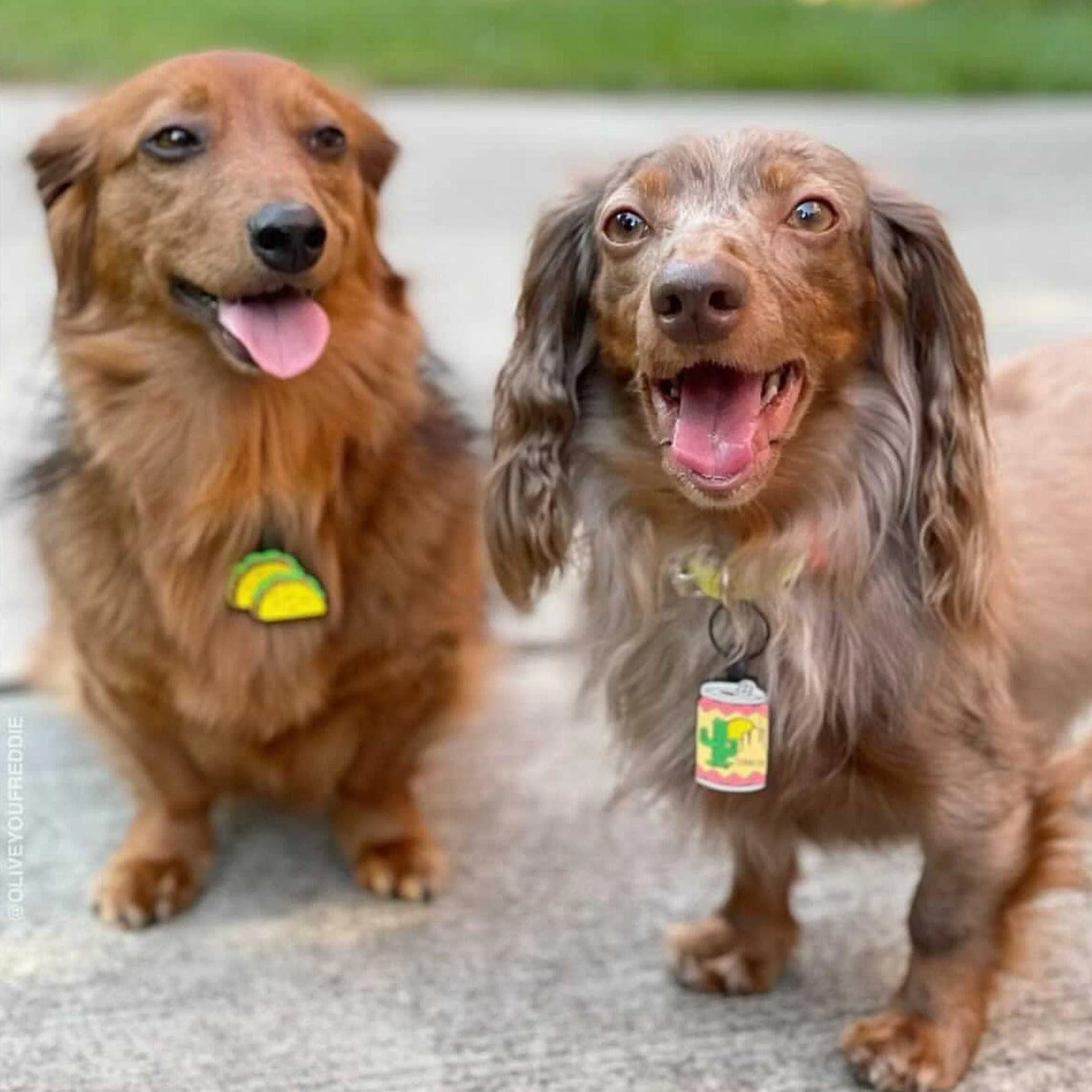 Tacos and Beer BFF Silicone ID Tag Set - Image 4