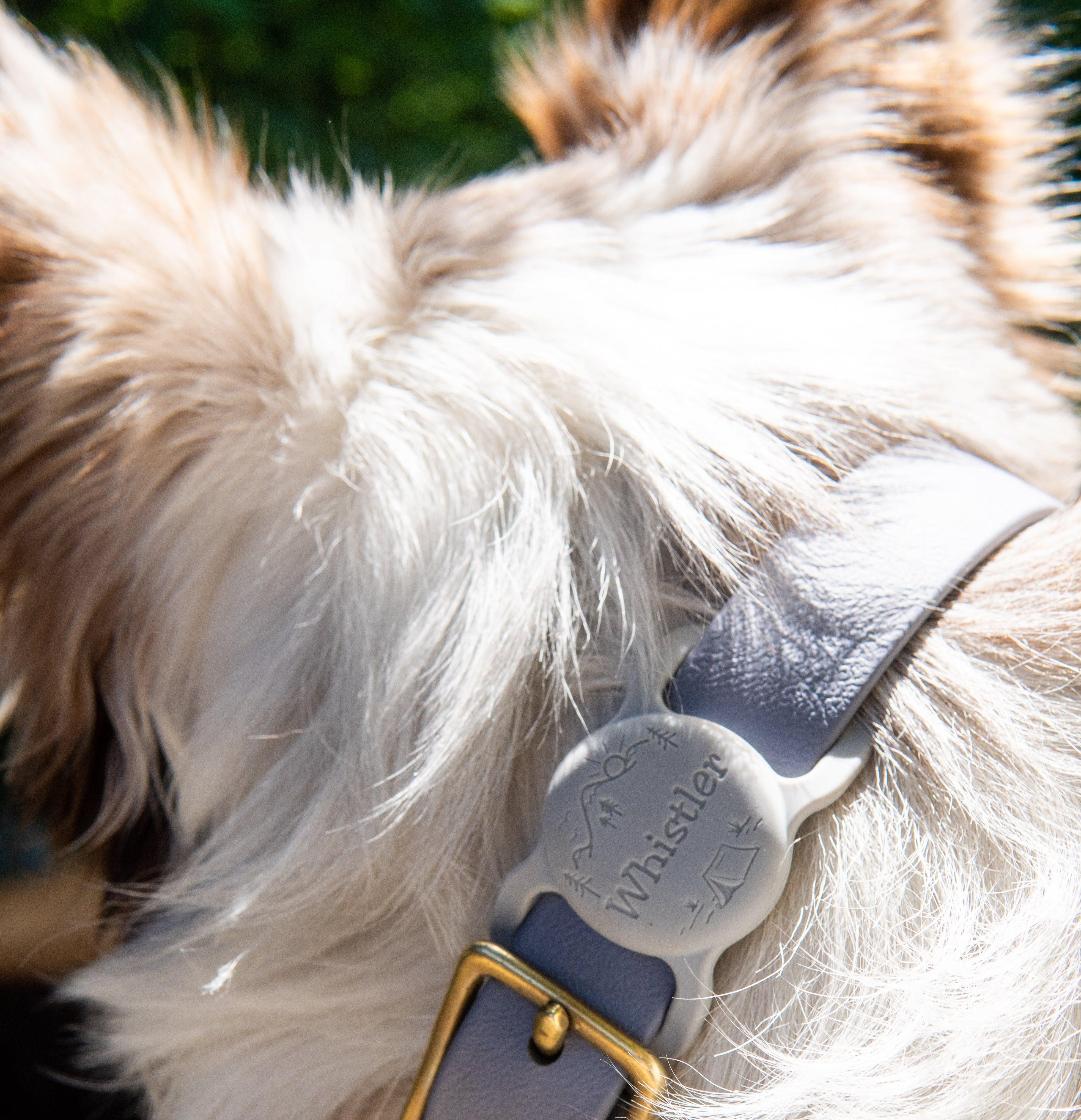 Wild One AirTag Holder - Image 5